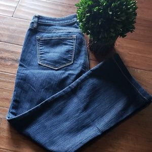 NWOT LOFT Original Bootcut Jeans